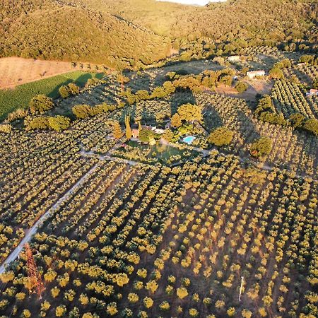 Agriturismo Podere Valdo Gavorrano Εξωτερικό φωτογραφία