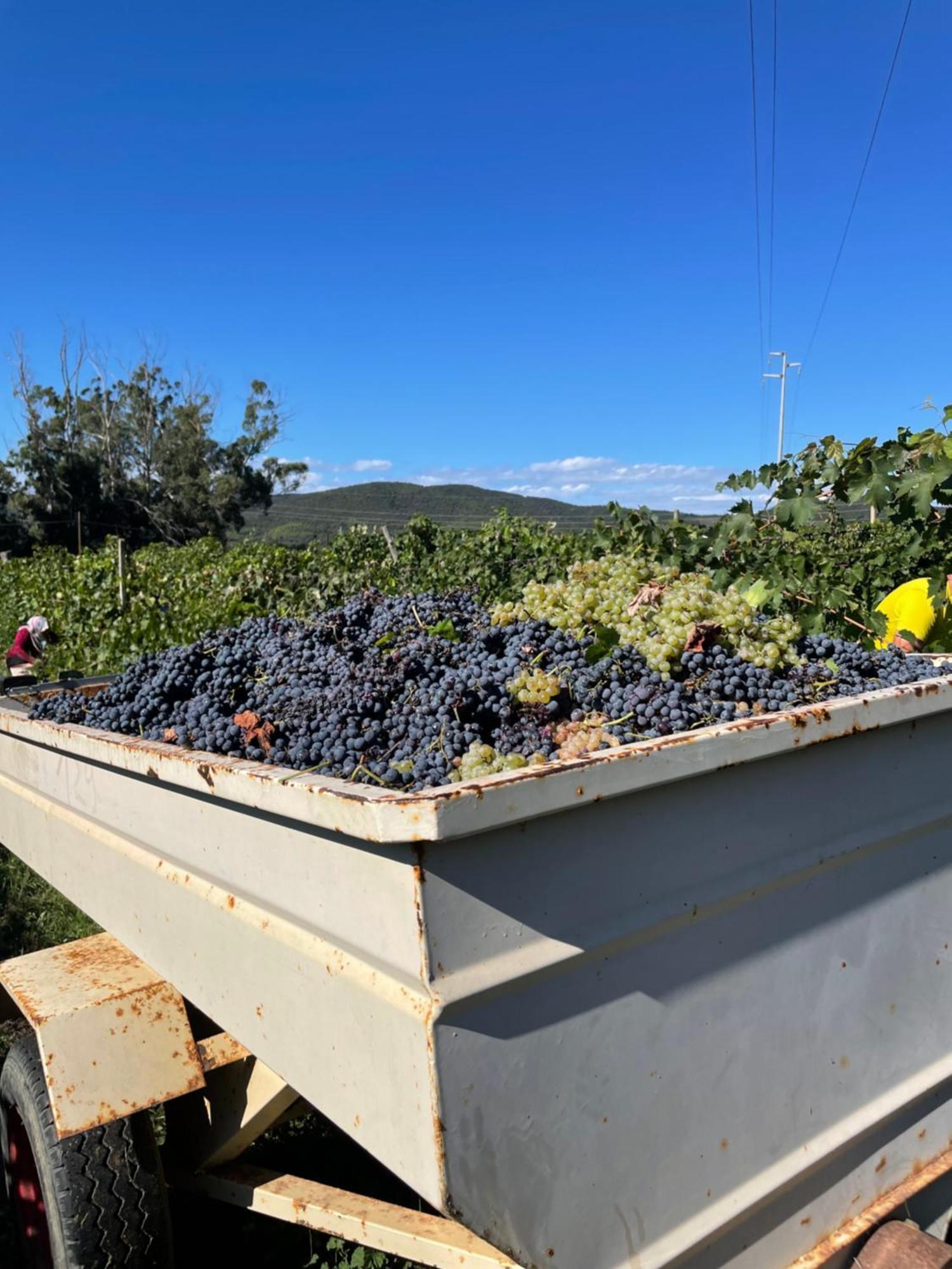 Agriturismo Podere Valdo Gavorrano Εξωτερικό φωτογραφία