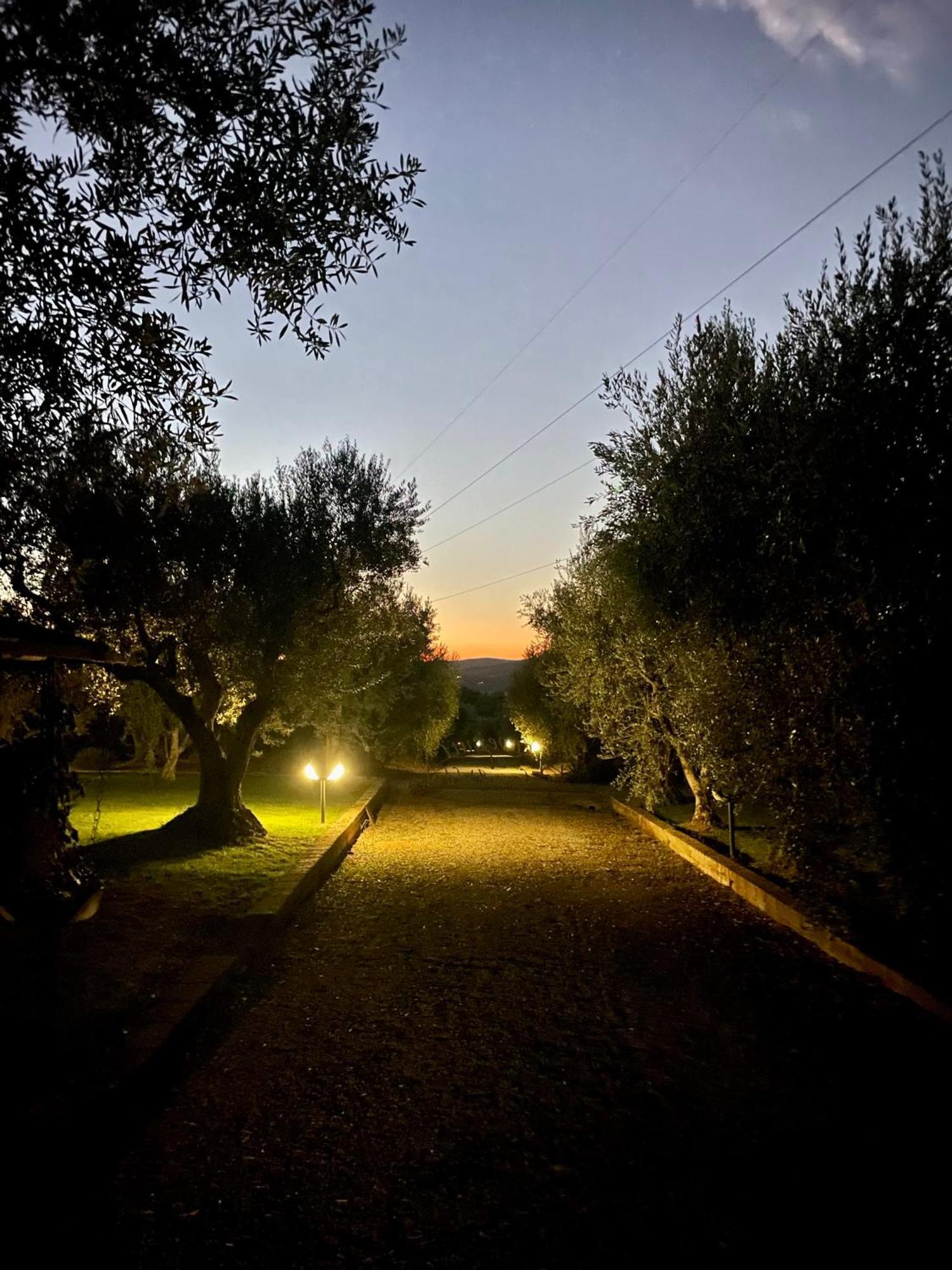 Agriturismo Podere Valdo Gavorrano Εξωτερικό φωτογραφία