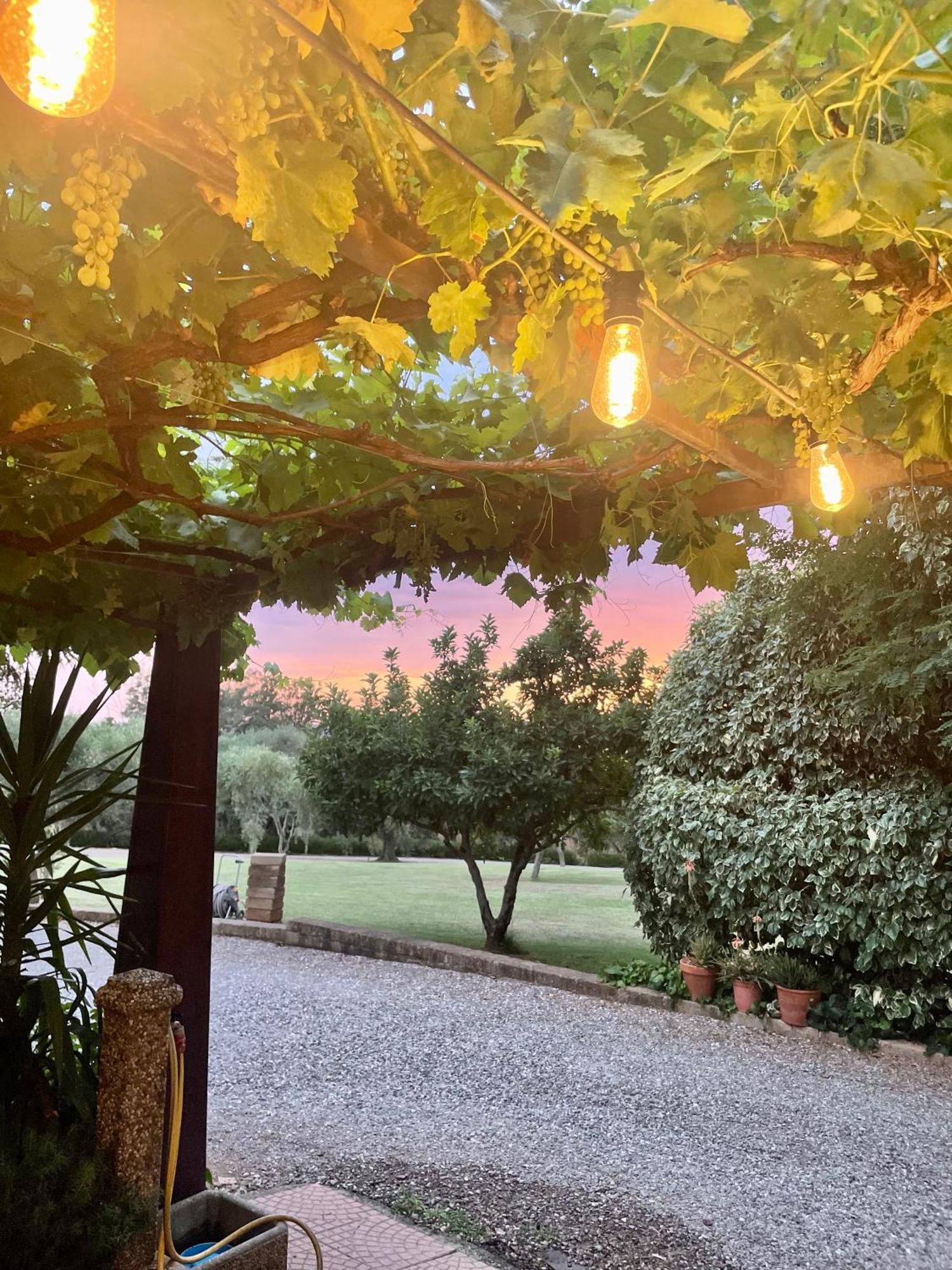 Agriturismo Podere Valdo Gavorrano Εξωτερικό φωτογραφία