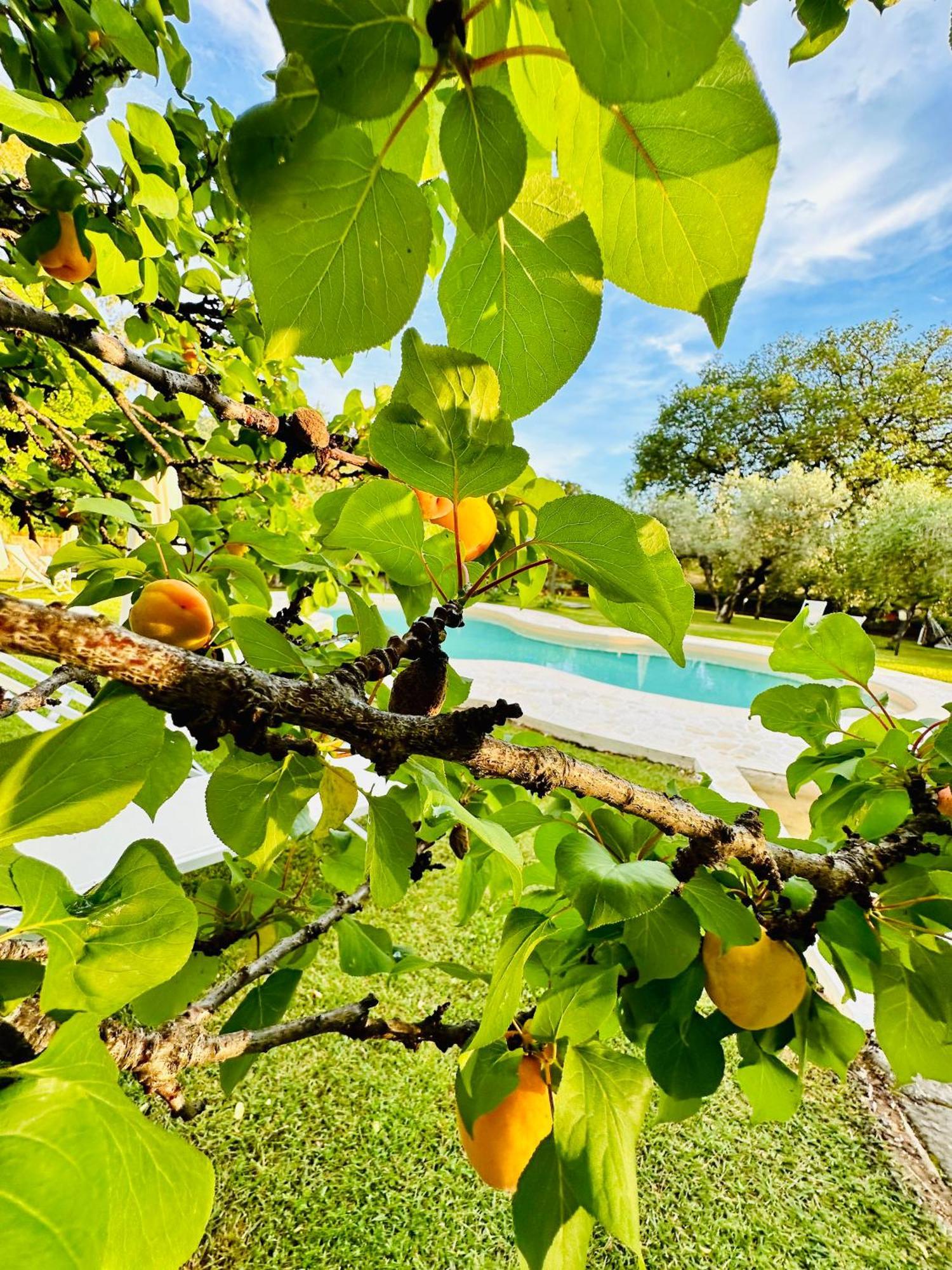 Agriturismo Podere Valdo Gavorrano Εξωτερικό φωτογραφία